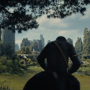 Foto El reino del planeta de los simios