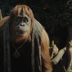 Foto El reino del planeta de los simios