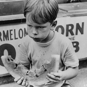 Foto El Pequeño fugitivo