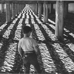 Foto El Pequeño fugitivo