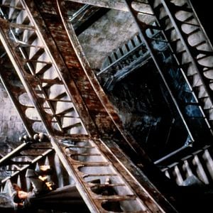 Foto El nombre de la rosa