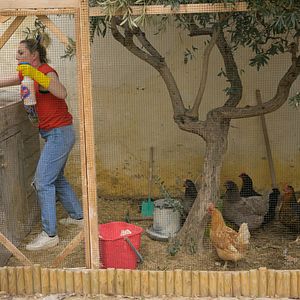 Foto Anne-Elisabeth Blateau