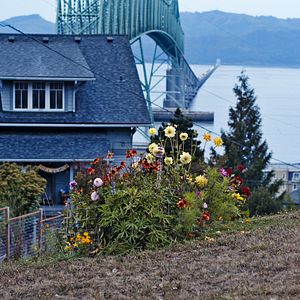Foto La vida soñada de Miss Fran