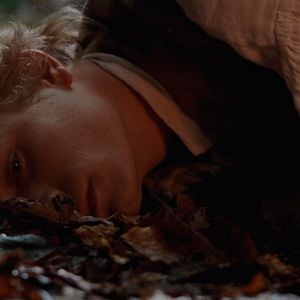 Foto El pacto de los lobos