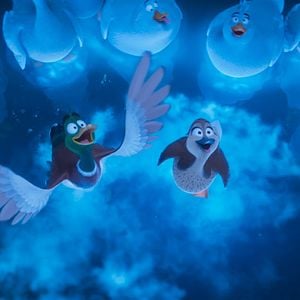 Foto Migración. Un viaje patas arriba