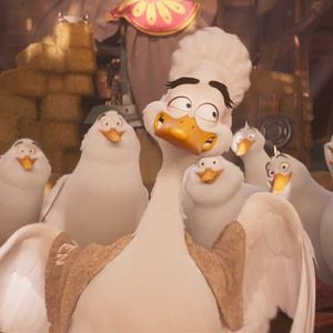 Foto Migración. Un viaje patas arriba