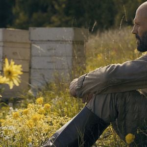 Foto Beekeeper: El protector