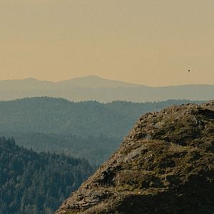 Foto Sasquatch Sunset