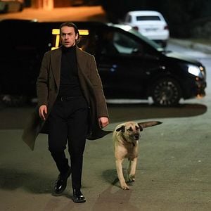 Foto Amor sin límite