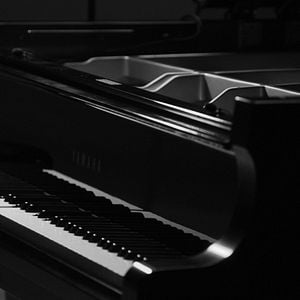 Foto Ryuichi Sakamoto: Opus