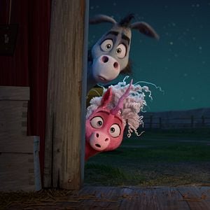 Foto Telma, la unicornio