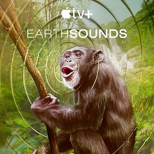 Foto Sonidos terrestres