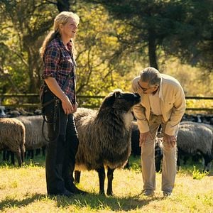 Foto Eugene Levy, el antiviajero