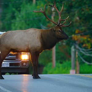 Foto Nuestro mundo lleno de vida
