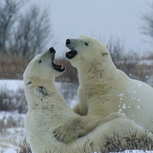 Foto Nuestro mundo lleno de vida