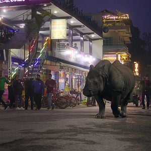 Foto Nuestro mundo lleno de vida