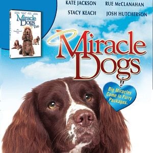 Foto Miracle Dogs