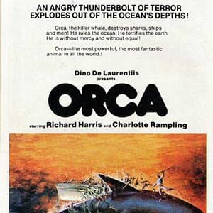 Foto Orca, la ballena asesina