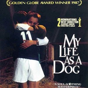 Foto Mi vida como un perro