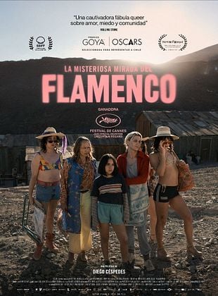 Cartel de  La Misteriosa Mirada Del Flamenco