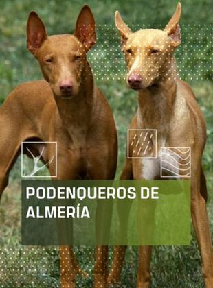 Cartel de Podenqueros de Almería