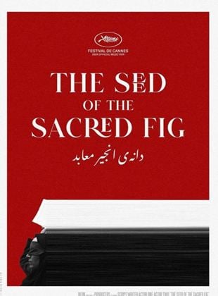 The Seed of the Sacred Fig