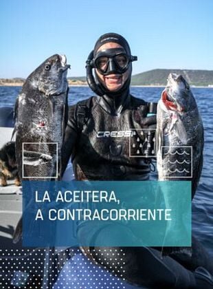 Cartel de La Aceitera, contra corriente