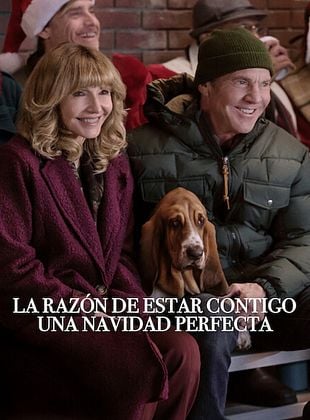 Cartel de La razón de estar contigo: Una Navidad perfecta