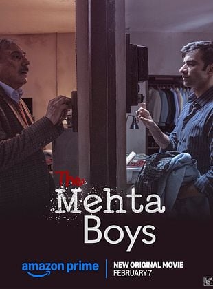 The Mehta Boys
