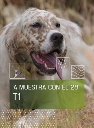 Cartel de A muestra con el 28