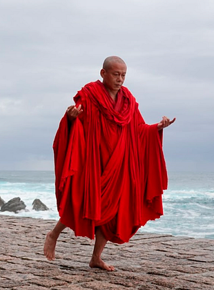 Cartel de El caminante