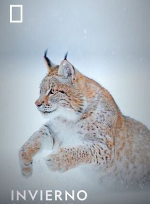 Cartel de Wild Winter