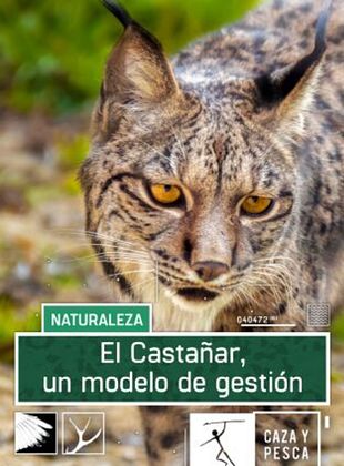 Cartel de El Castañar. Un modelo de gestión