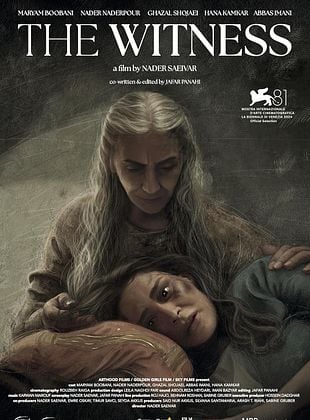 Cartel de La mujer que sabía demasiado