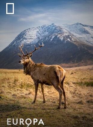 Cartel de Europa indómita