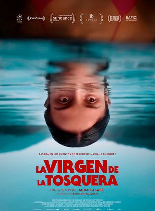 Cartel de  La Virgen de la tosquera