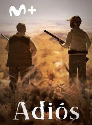Cartel de Adiós