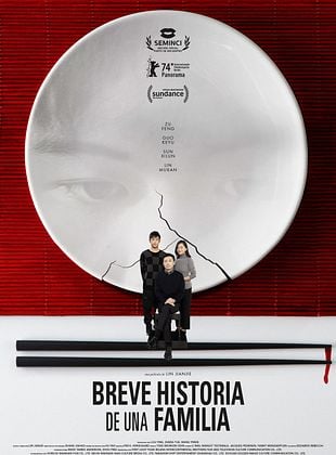 Cartel de Breve historia de una familia