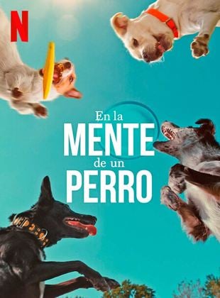  En la mente de un perro