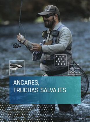 Cartel de Ancares, truchas salvajes