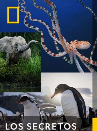 Cartel de Los secretos de...