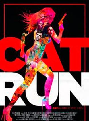  Cat Run
