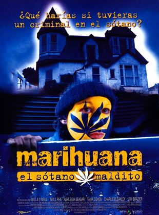  Marihuana, el sótano maldito