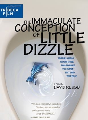  The Immaculate Conception of Little Dizzle