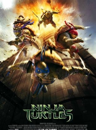  Ninja Turtles