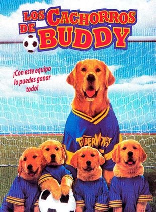 Los cachorros de Buddy