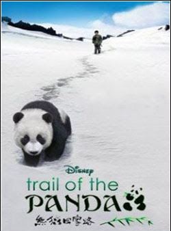 La senda del panda