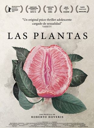  Las Plantas