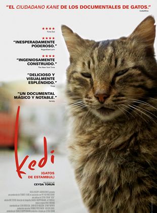  Kedi (Gatos de Estambul)