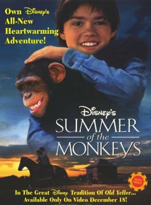 El verano de los monos
